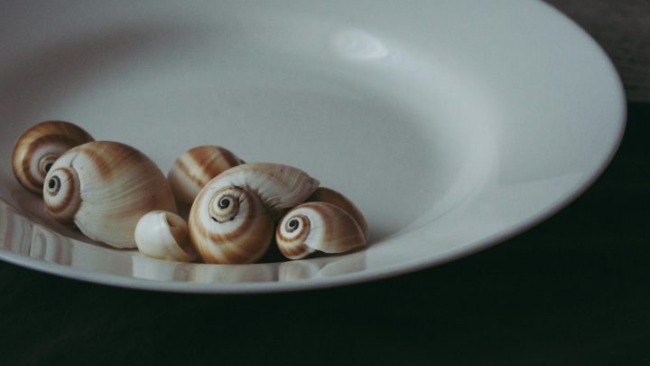 Receita Tradicional de Caracóis à Portuguesa: Um Clássico de Verão